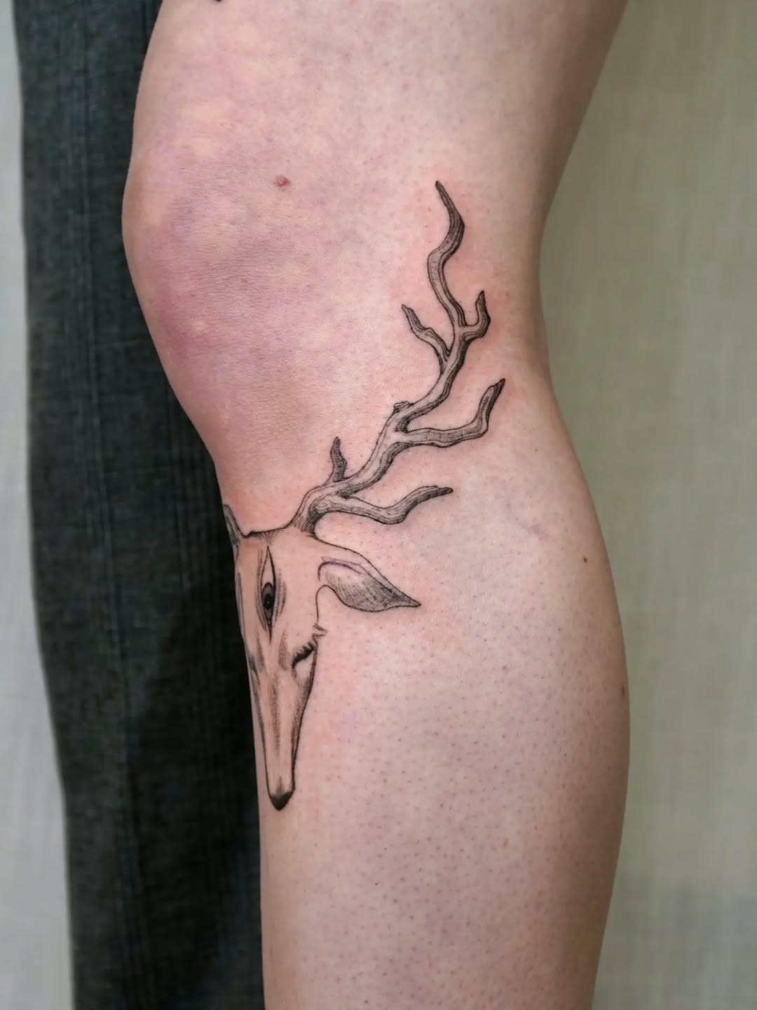 Tattoo by @maiyashu.pokes — black_and_grey, illustrative