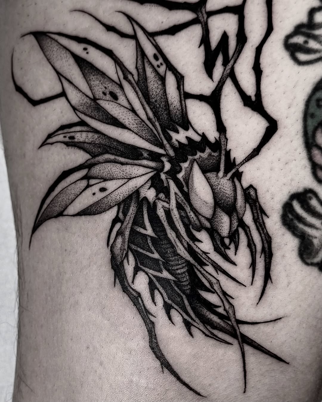 Tattoo by @bryanblack.ttt — black_and_grey, dotwork