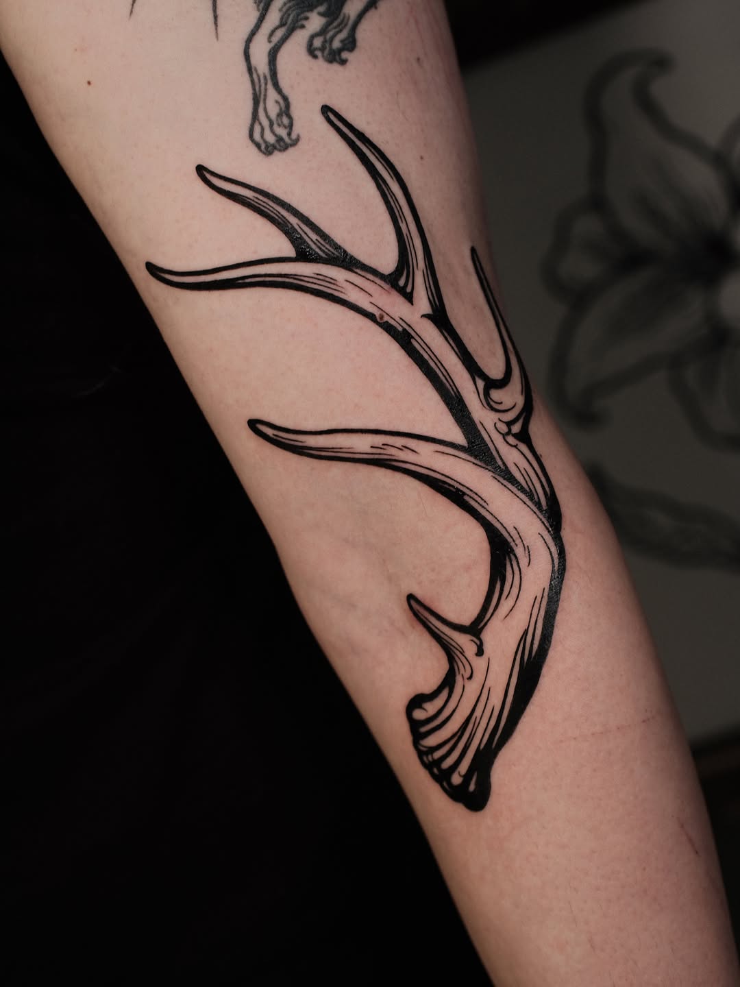 Tattoo by @staydoomed โ blackwork
