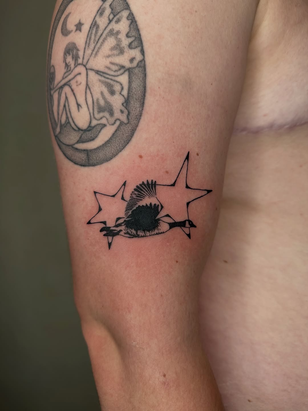 Tattoo by @silly.tatty — blackwork, fine_line