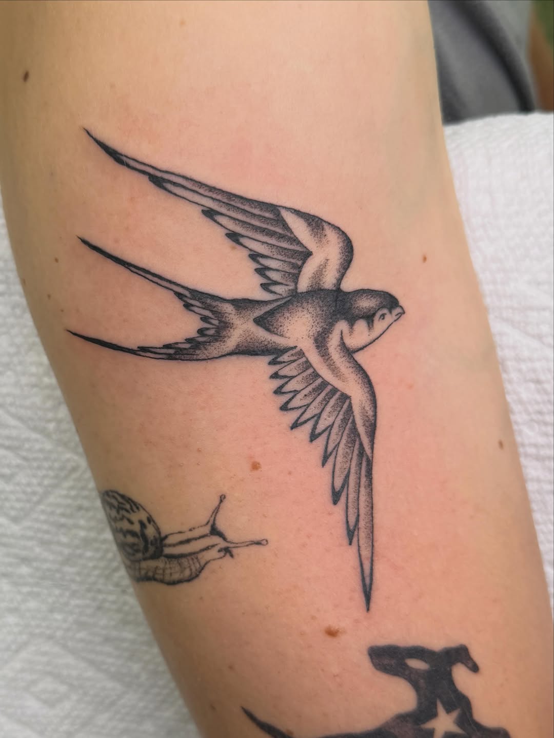 Tattoo by @rinoski.tattoo — illustrative, dotwork