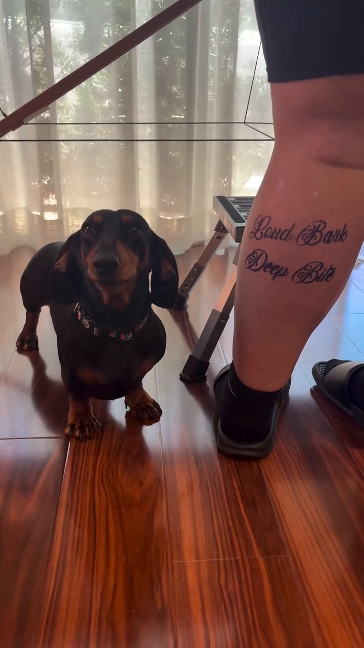 Tattoo by @tattbaby.daze — lettering_script