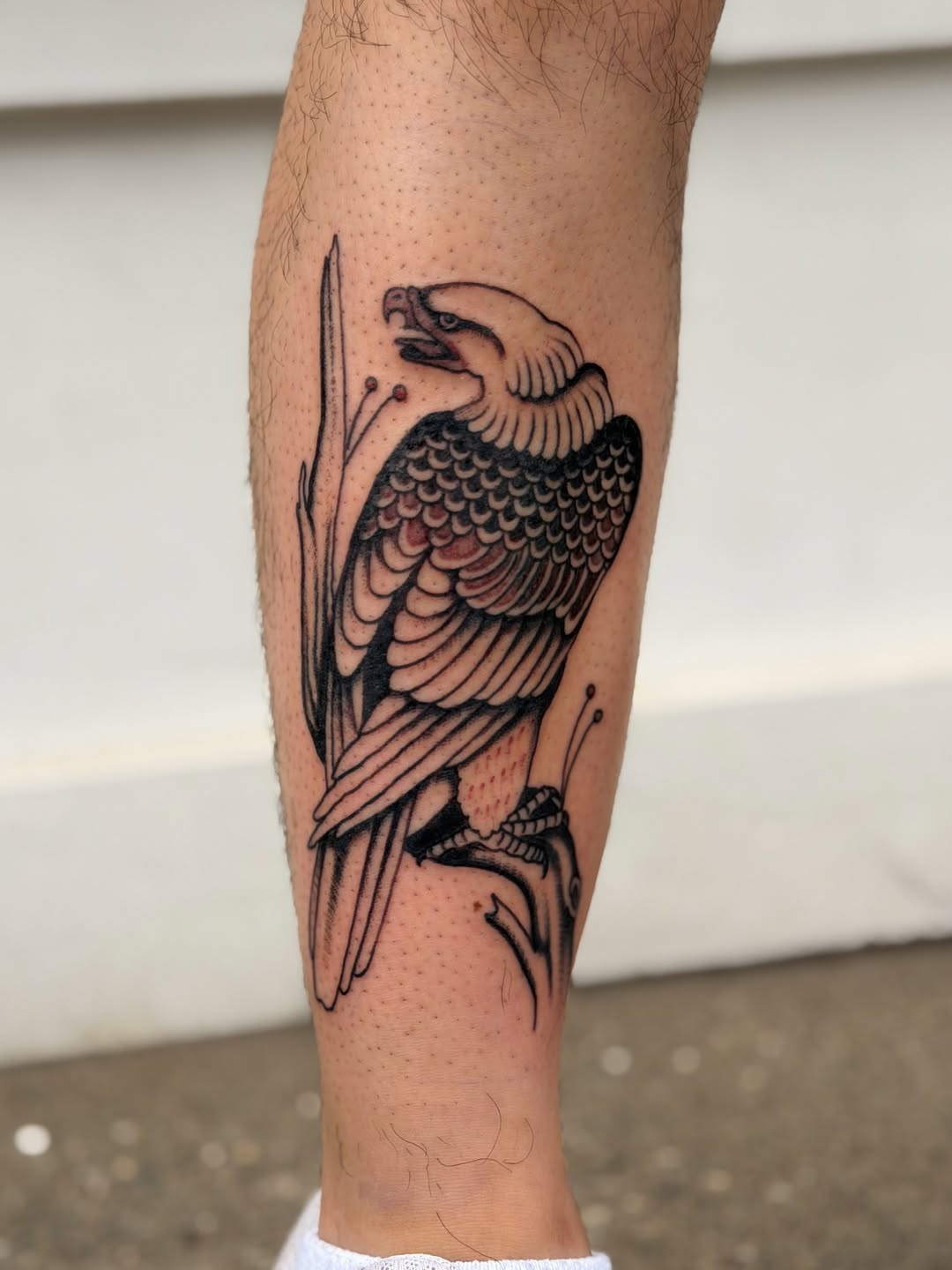 Tattoo by @natecreeper — american_traditional