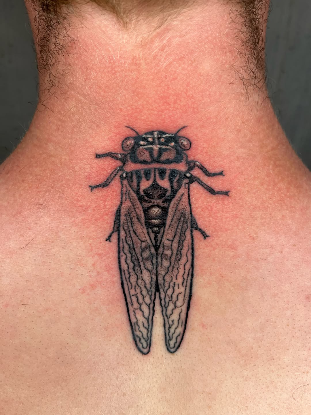 Tattoo by @maris_hare — black_and_grey