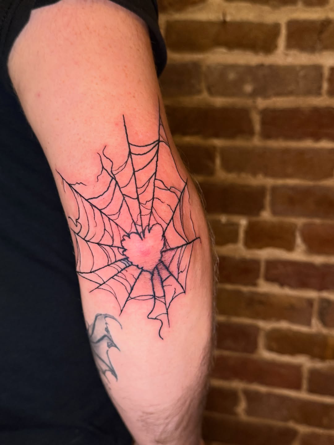 Tattoo by @tyhamiltontattoos โ fine_line, black_and_grey