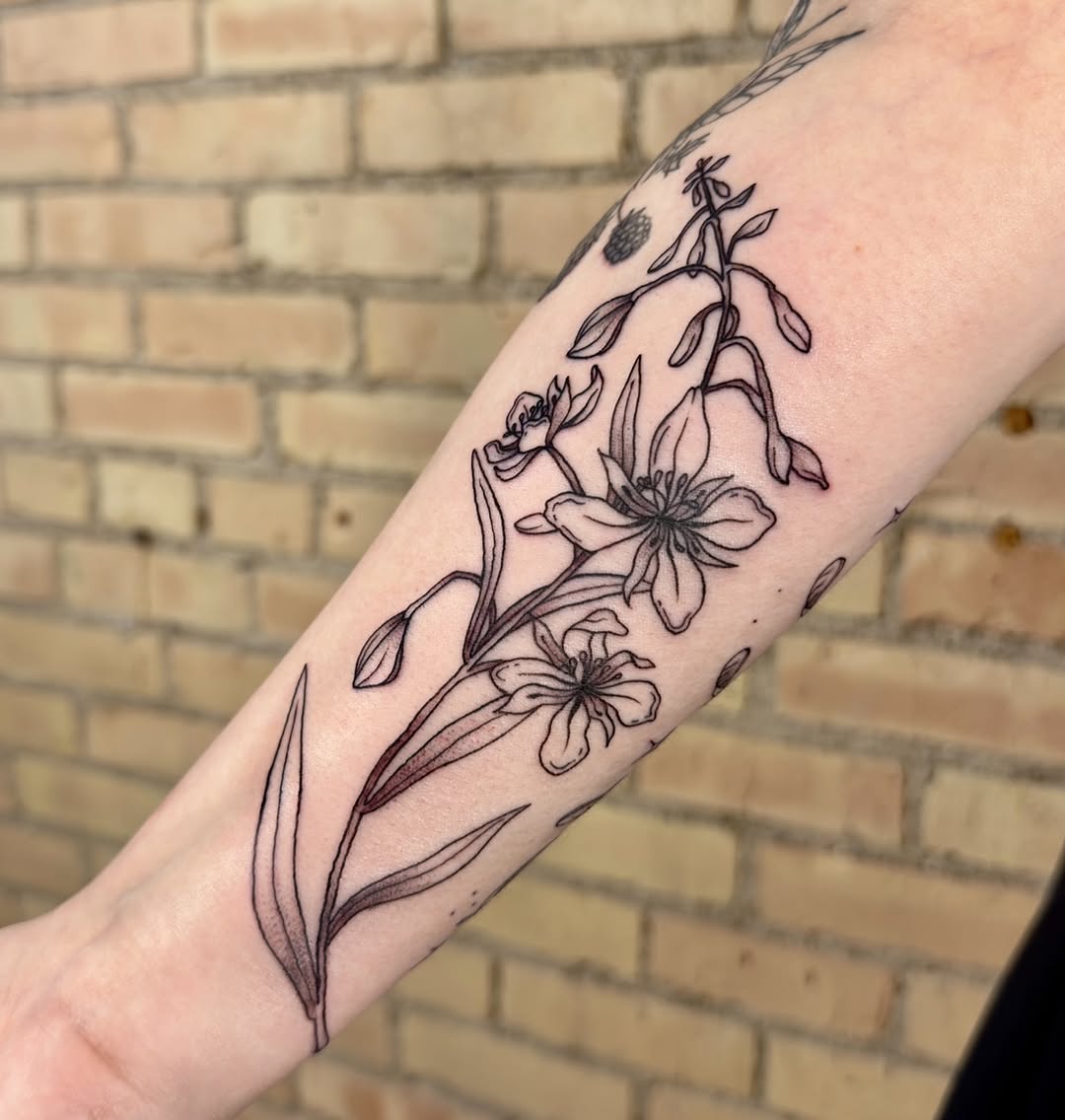 Tattoo by @rae.inkss — fine_line, illustrative