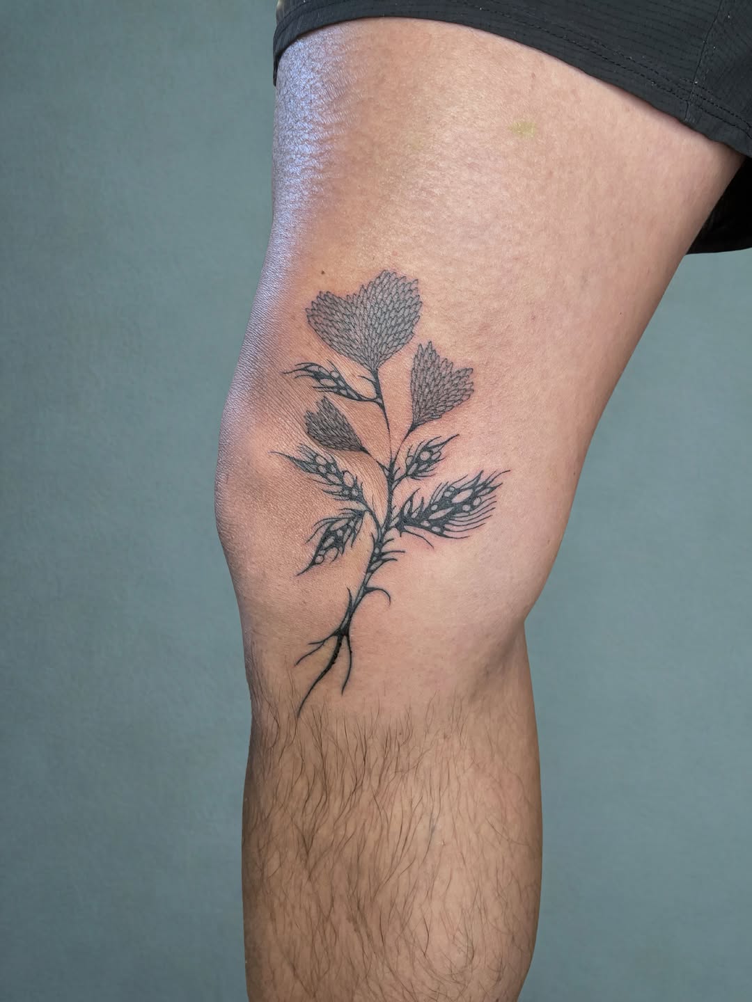 Tattoo by @smp.art_ — fine_line, black_and_grey