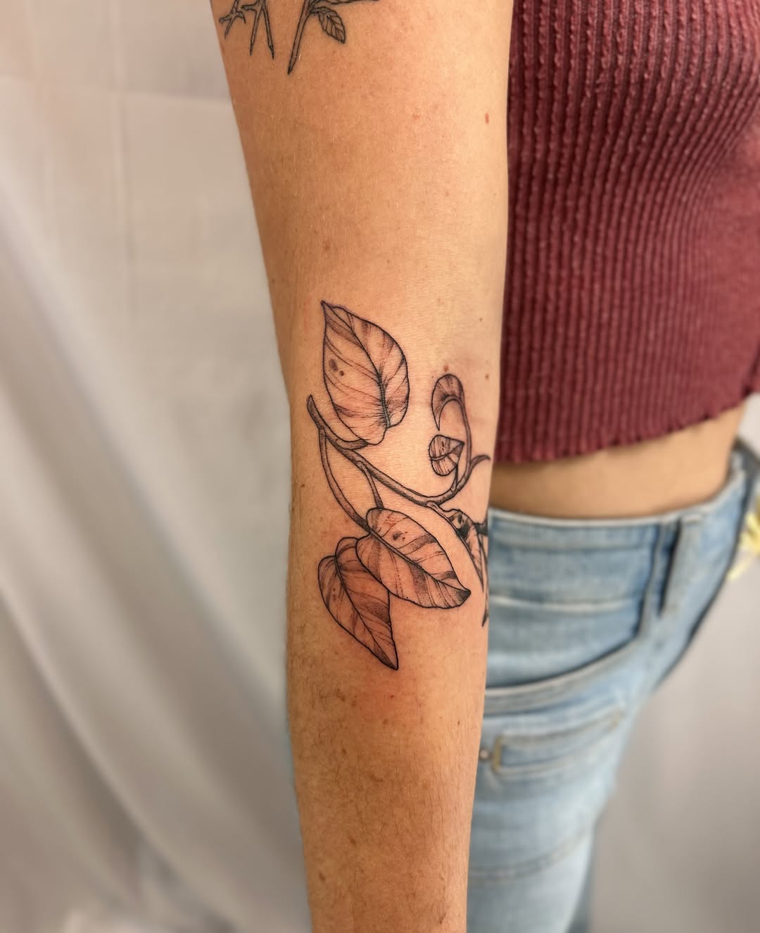 Tattoo by @littlebird_ink — fine_line, illustrative