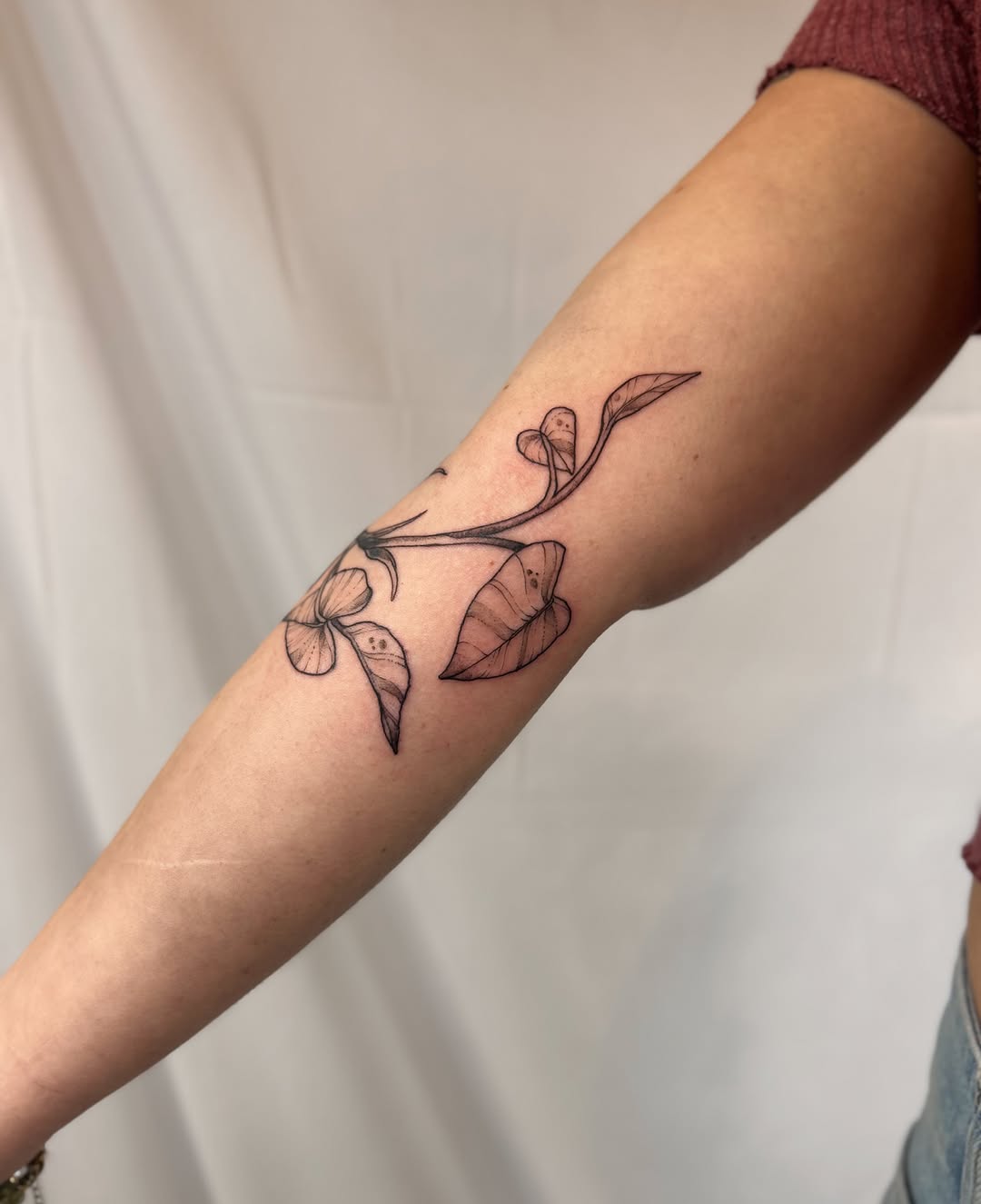 Tattoo by @littlebird_ink — fine_line, illustrative