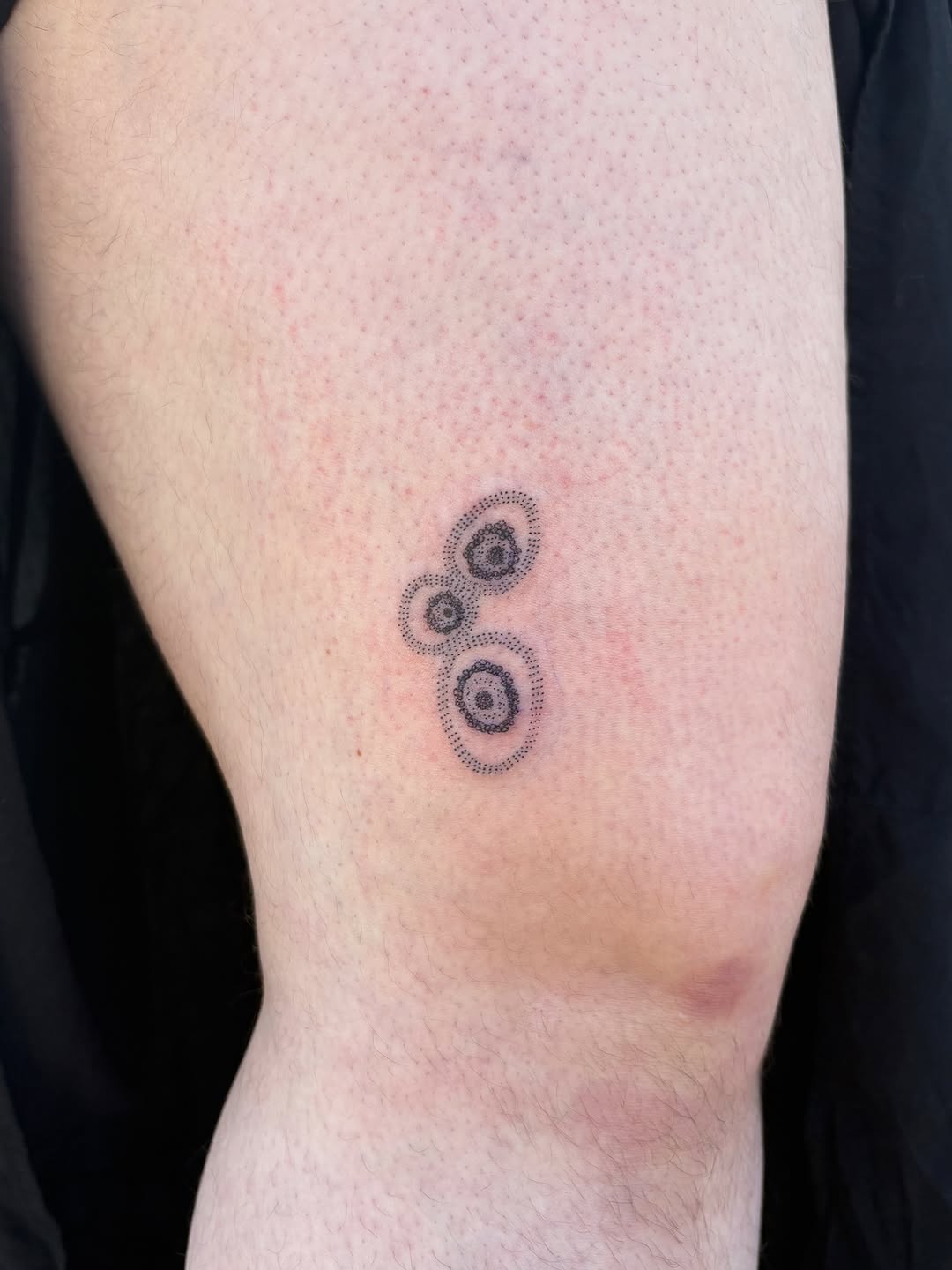 Tattoo by @apricot.pokes β dotwork, geometric