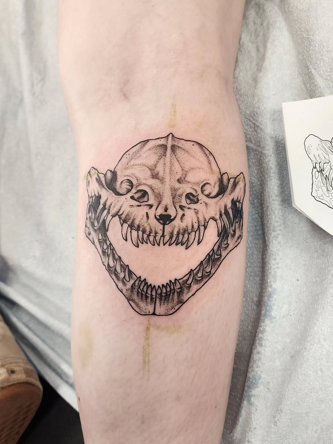 Tattoo by @kaylaalyak__ — blackwork, dotwork