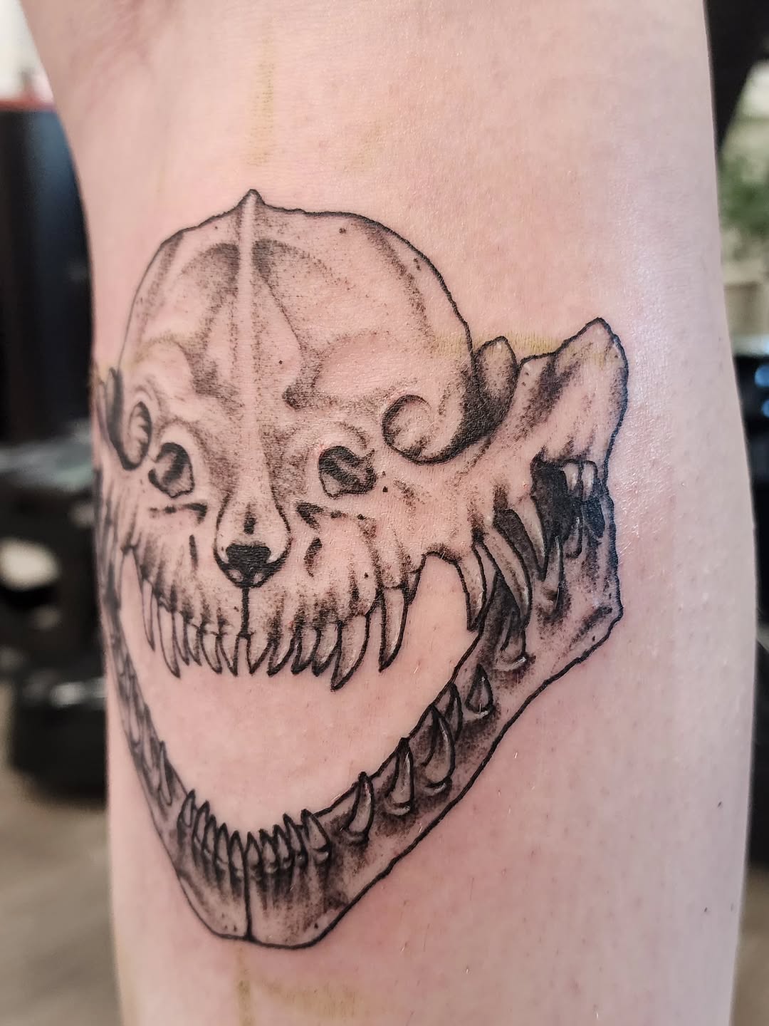 Tattoo by @kaylaalyak__ — black_and_grey, illustrative