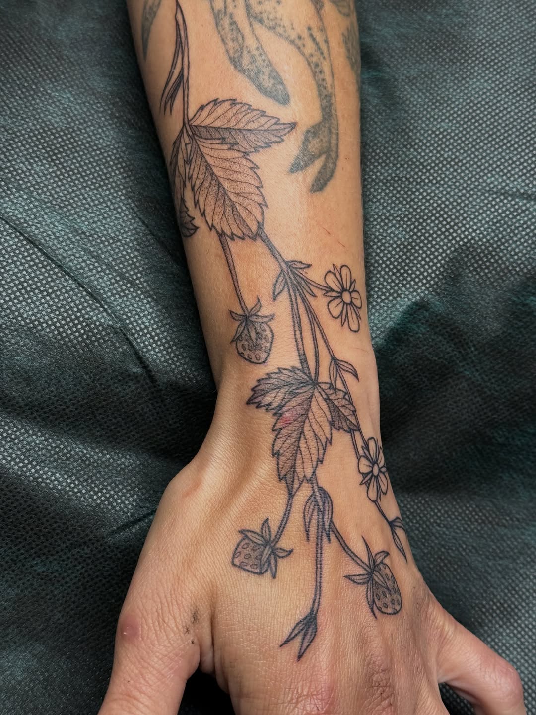 Tattoo by @pdv — fine_line, illustrative