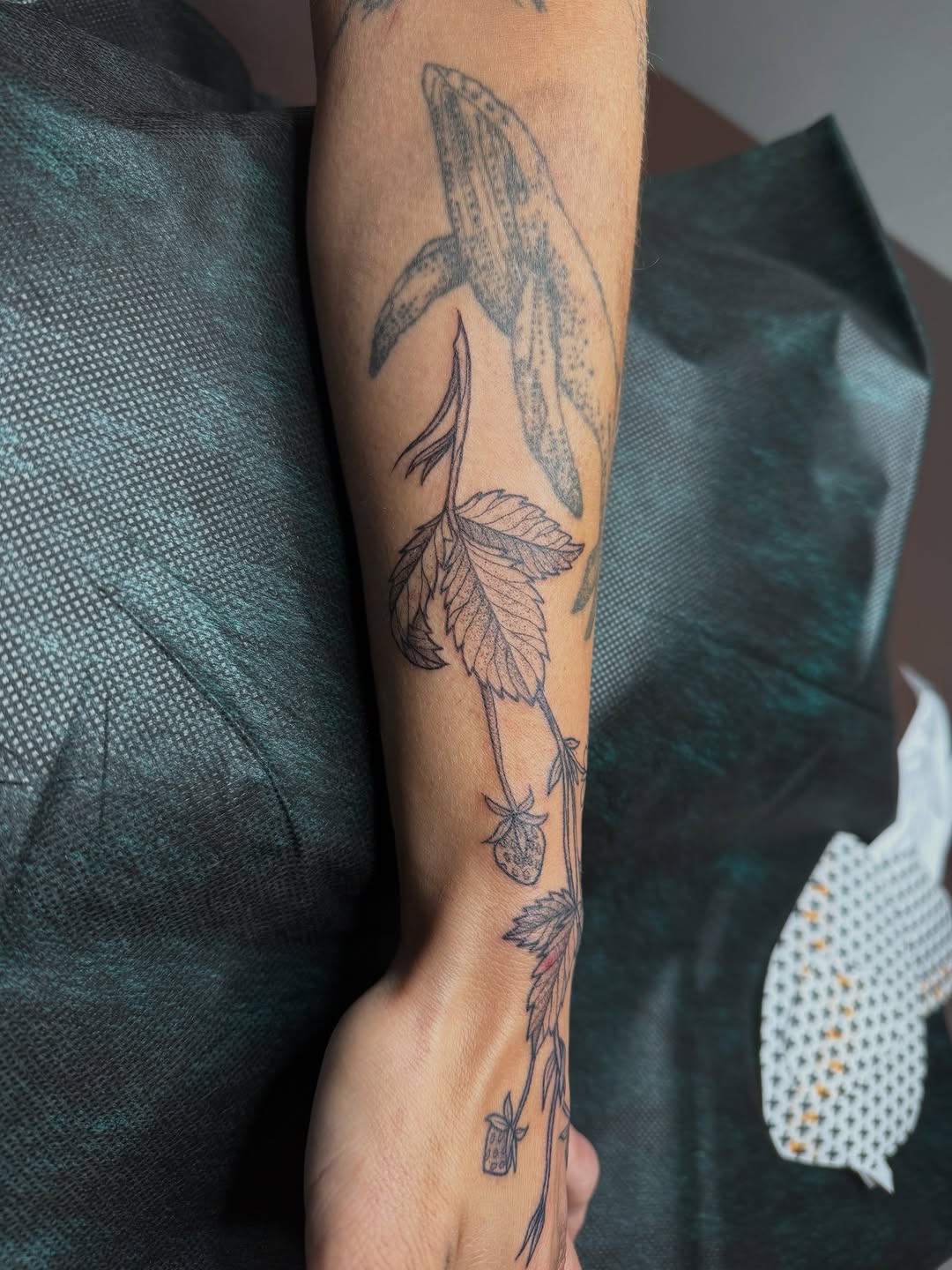 Tattoo by @pdv — fine_line, illustrative