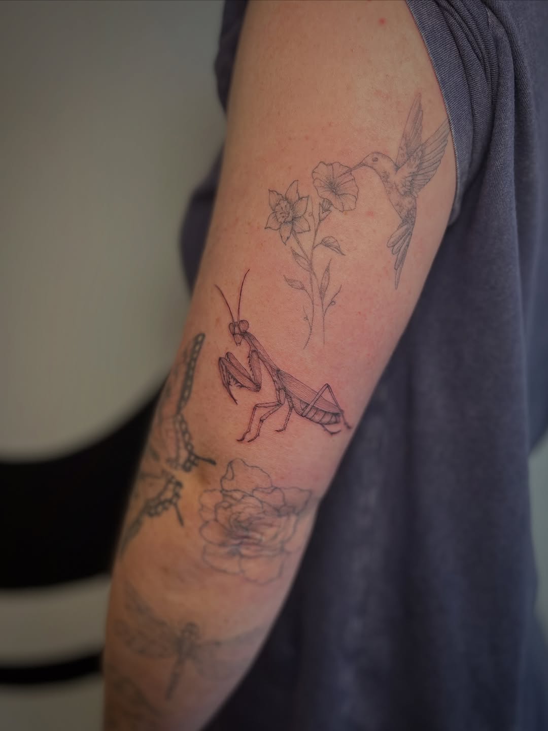 Tattoo by @bigbeautyjudi — fine_line, illustrative