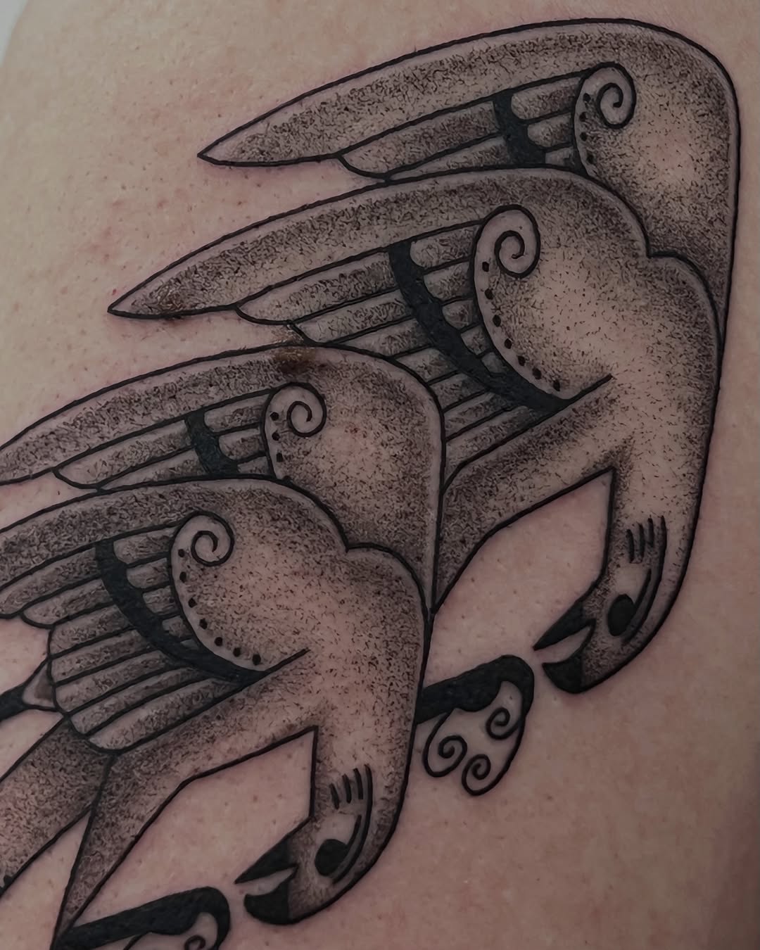 Tattoo by @onionrot — blackwork, ornamental