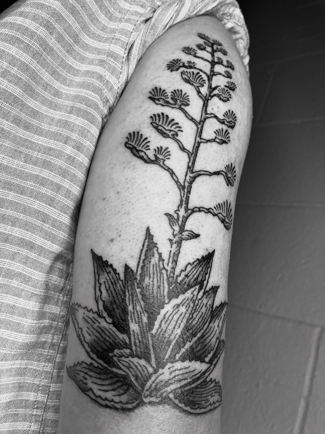 Tattoo by @_zaddy_taddy_ โ illustrative, black_and_grey