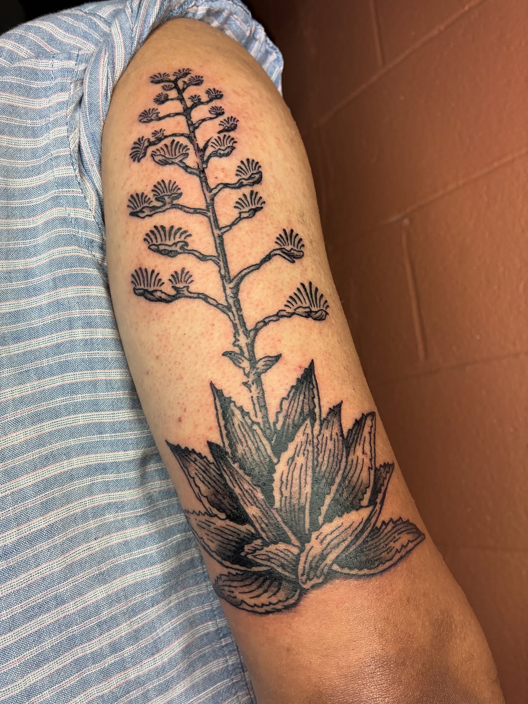 Tattoo by @_zaddy_taddy_ โ illustrative, black_and_grey