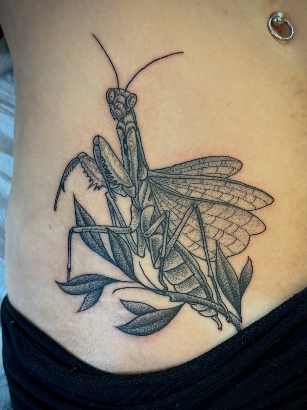 Tattoo by @scruffy_tattooer — black_and_grey, dotwork
