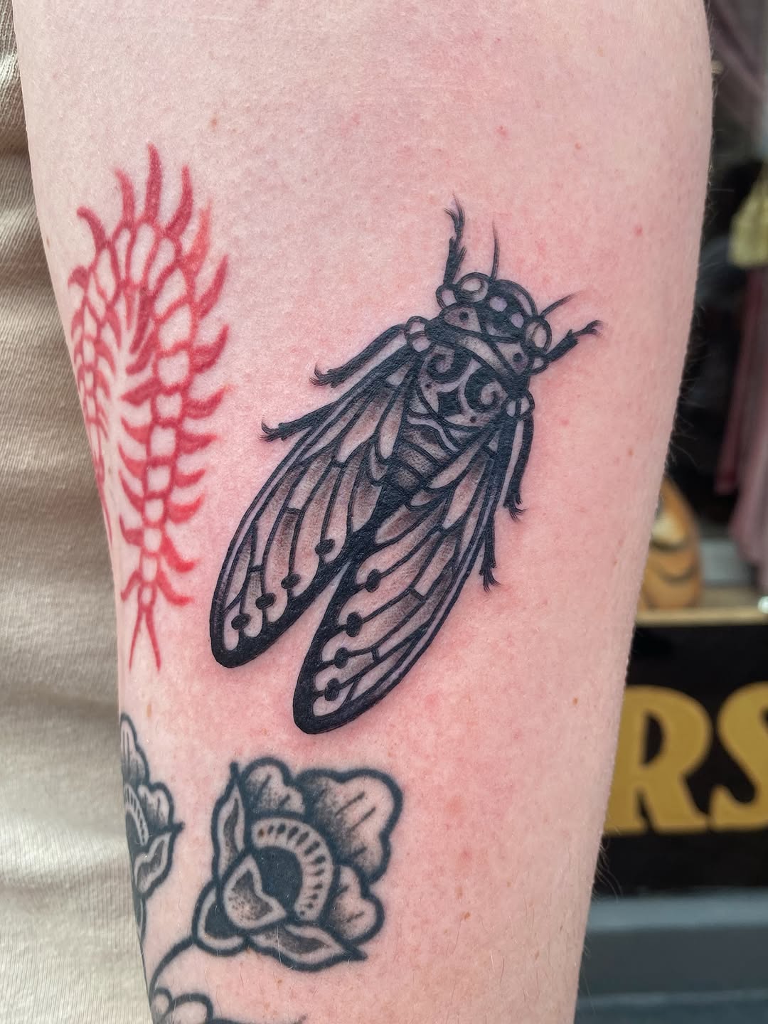 Tattoo by @lady_lively — illustrative, black_and_grey