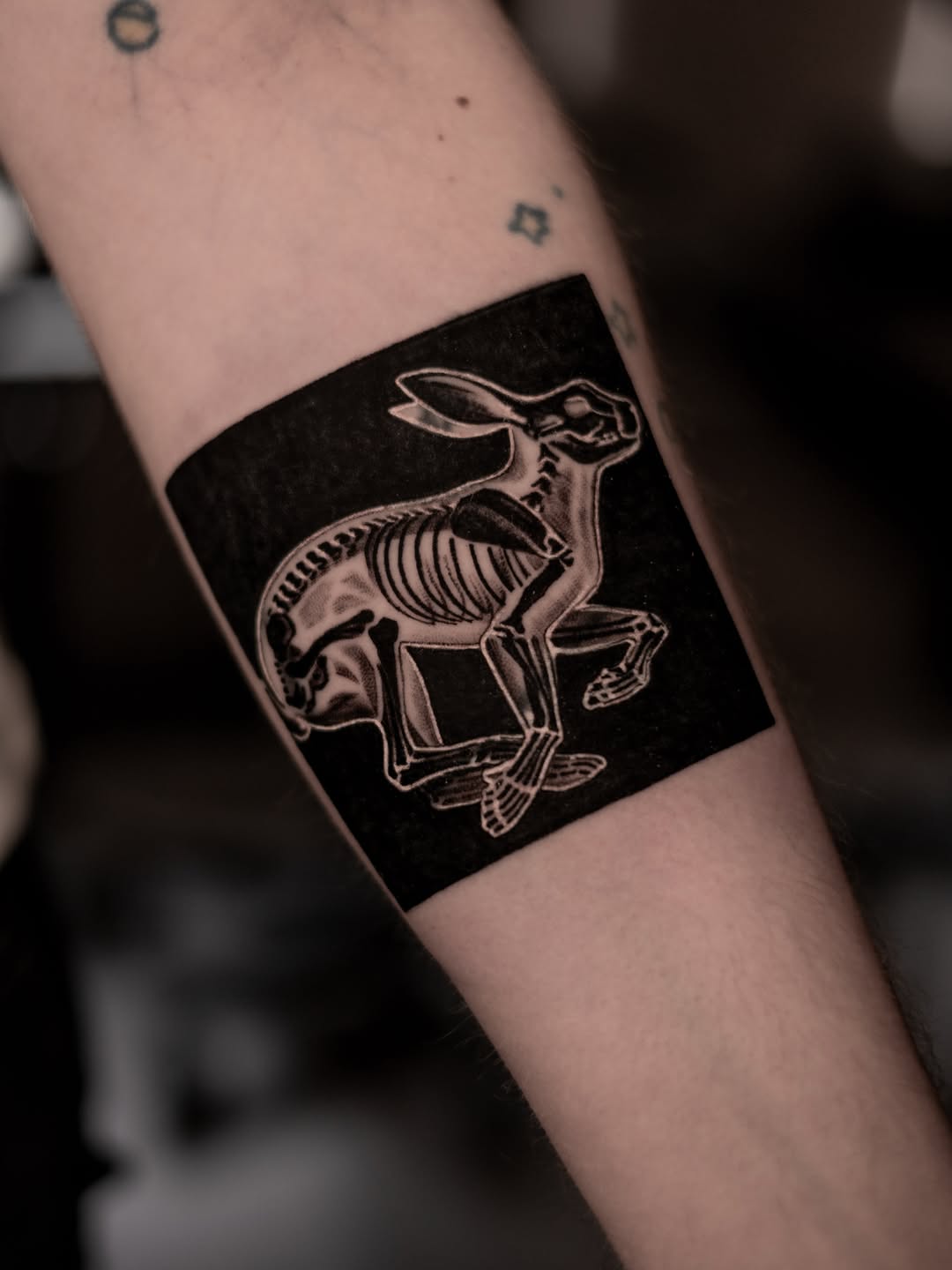 Tattoo by @markd_tattoo — blackwork