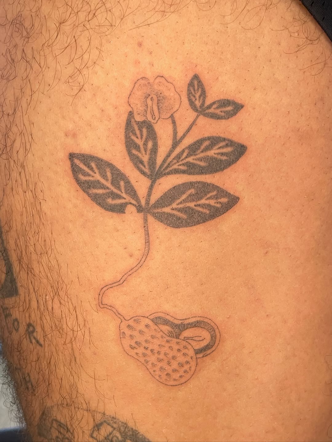 Tattoo by @3rdpancake — black_and_grey