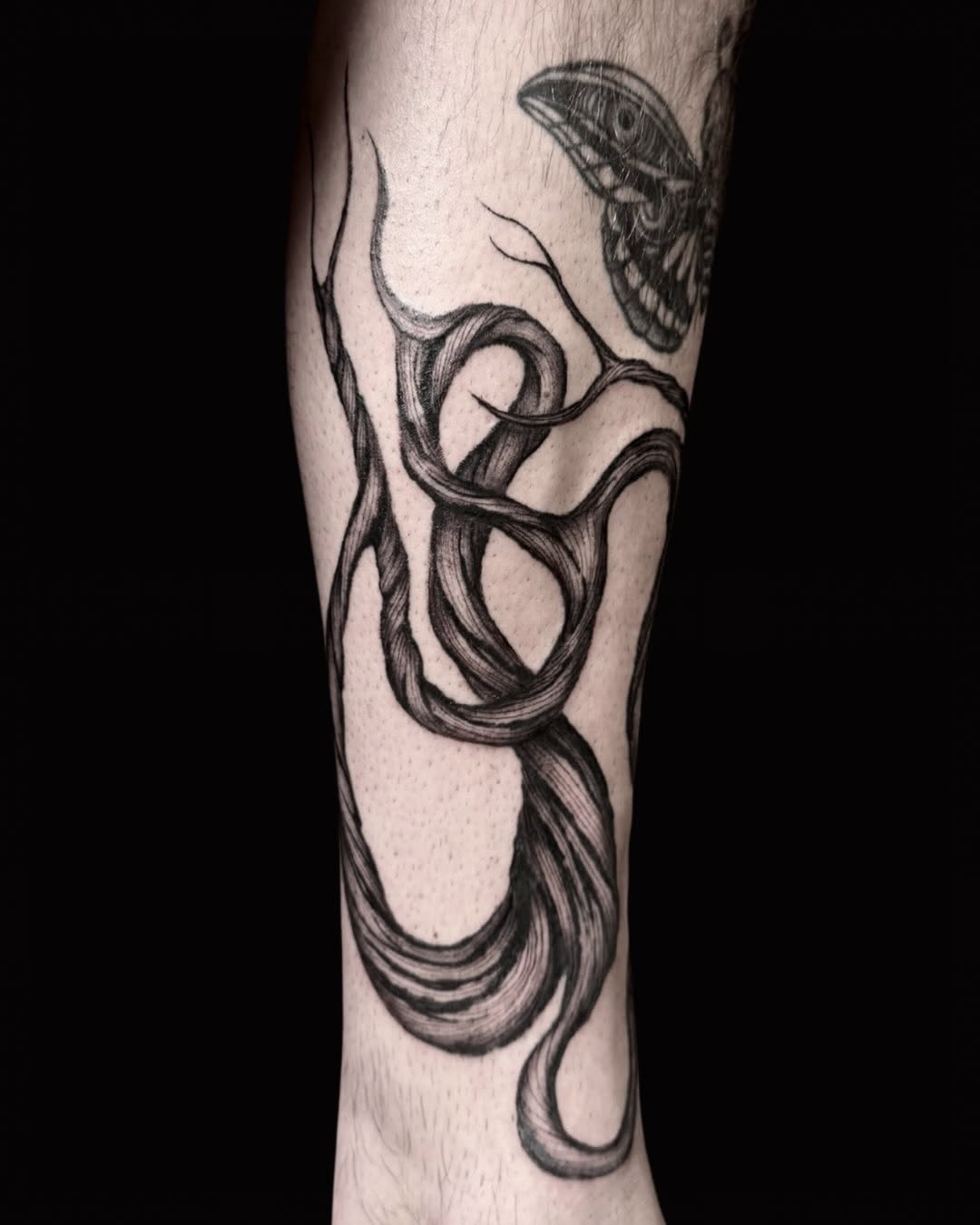 Tattoo by @skeletonvelvet — illustrative, black_and_grey