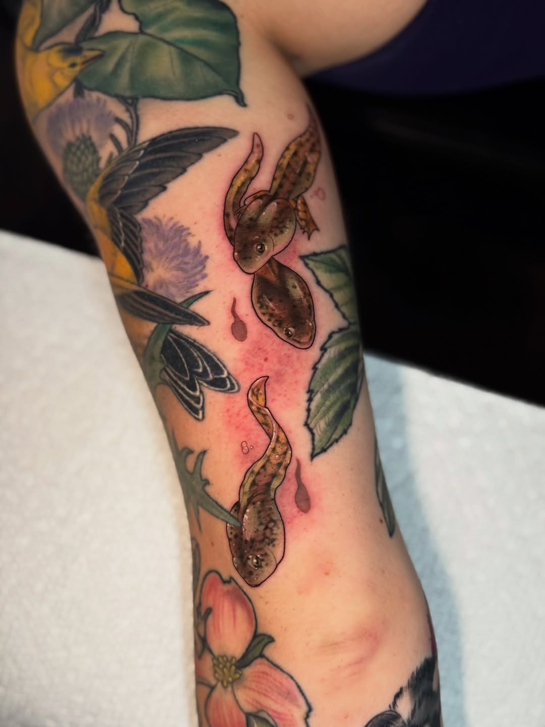 Tattoo by @catherineterlop โ realism, black_and_grey