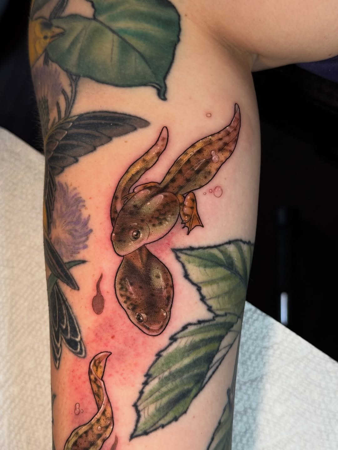 Tattoo by @catherineterlop โ realism, illustrative