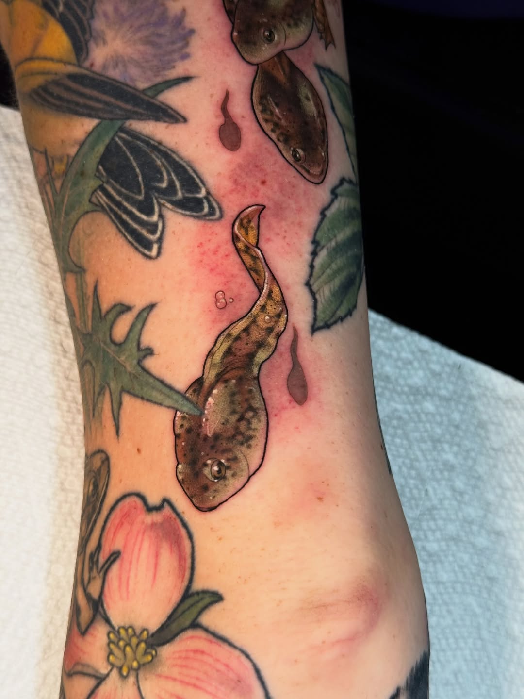 Tattoo by @catherineterlop โ realism, black_and_grey