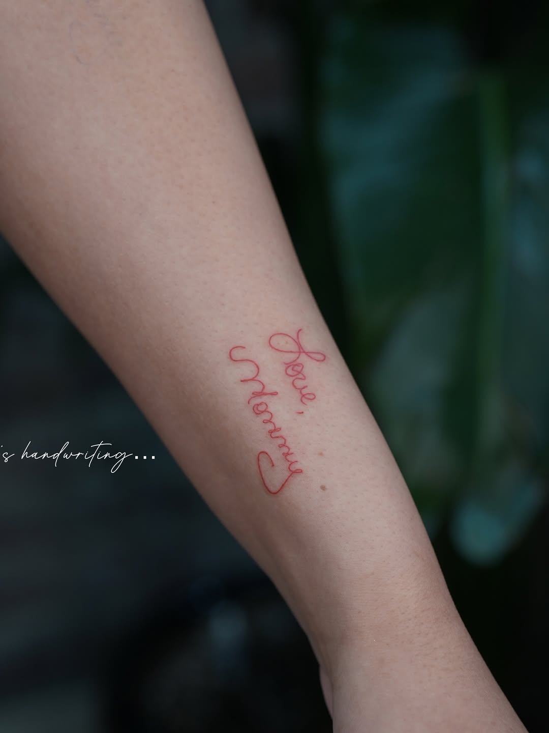 Tattoo by @tattooernyc โ lettering_script, fine_line