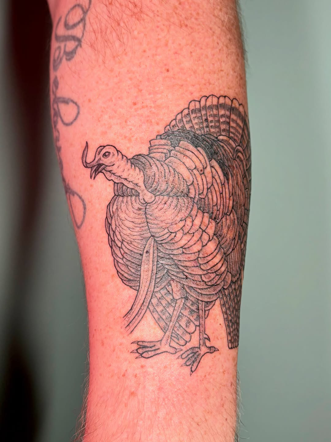 Tattoo by @drawingplantsandthings — black_and_grey