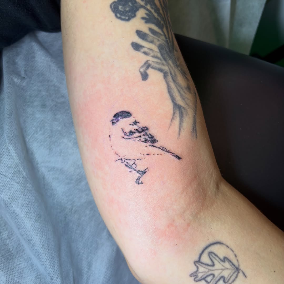 Tattoo by @mushypokes — fine_line, sketch