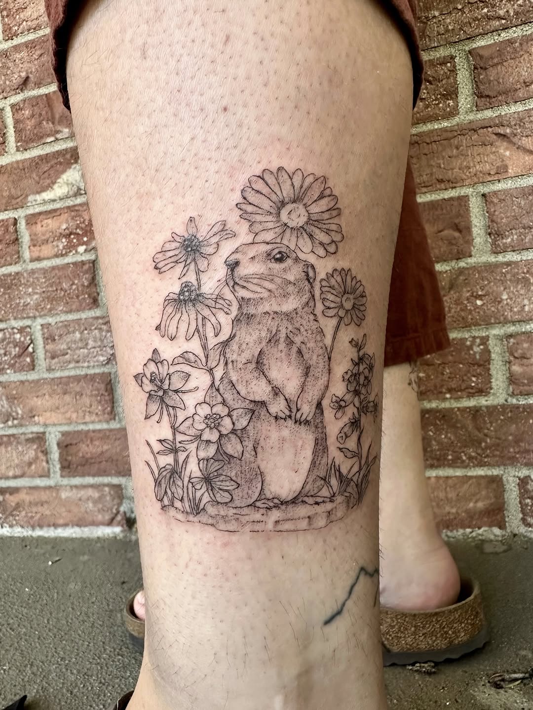 Tattoo by @folkandfernink โ sketch