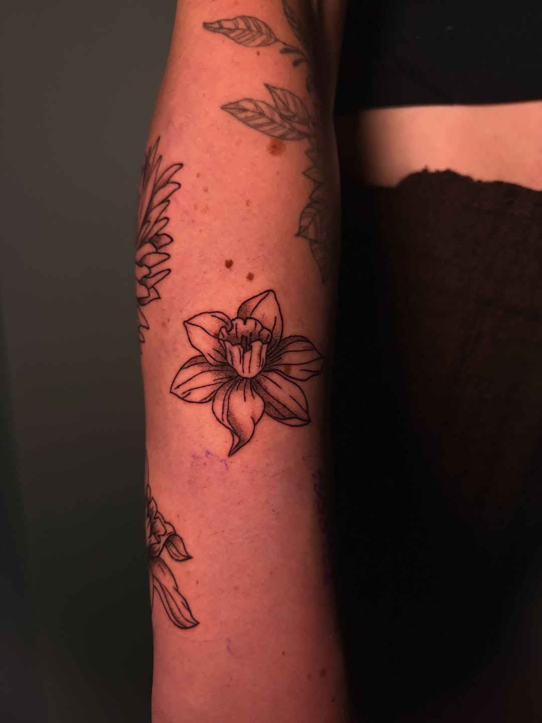 Tattoo by @lifeisajjtattoo_ — fine_line, black_and_grey