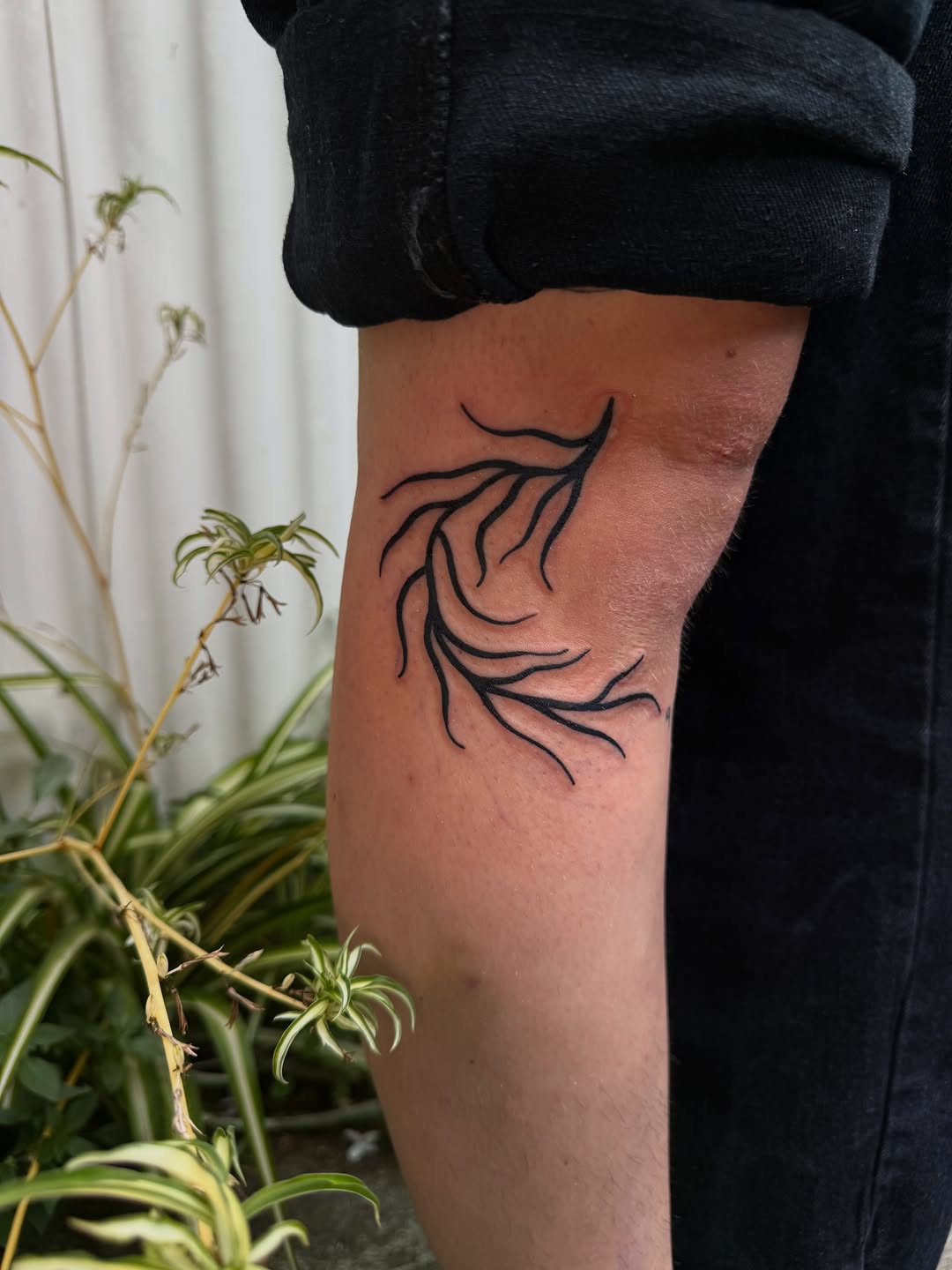Tattoo by @dojatatt — fine_line, illustrative