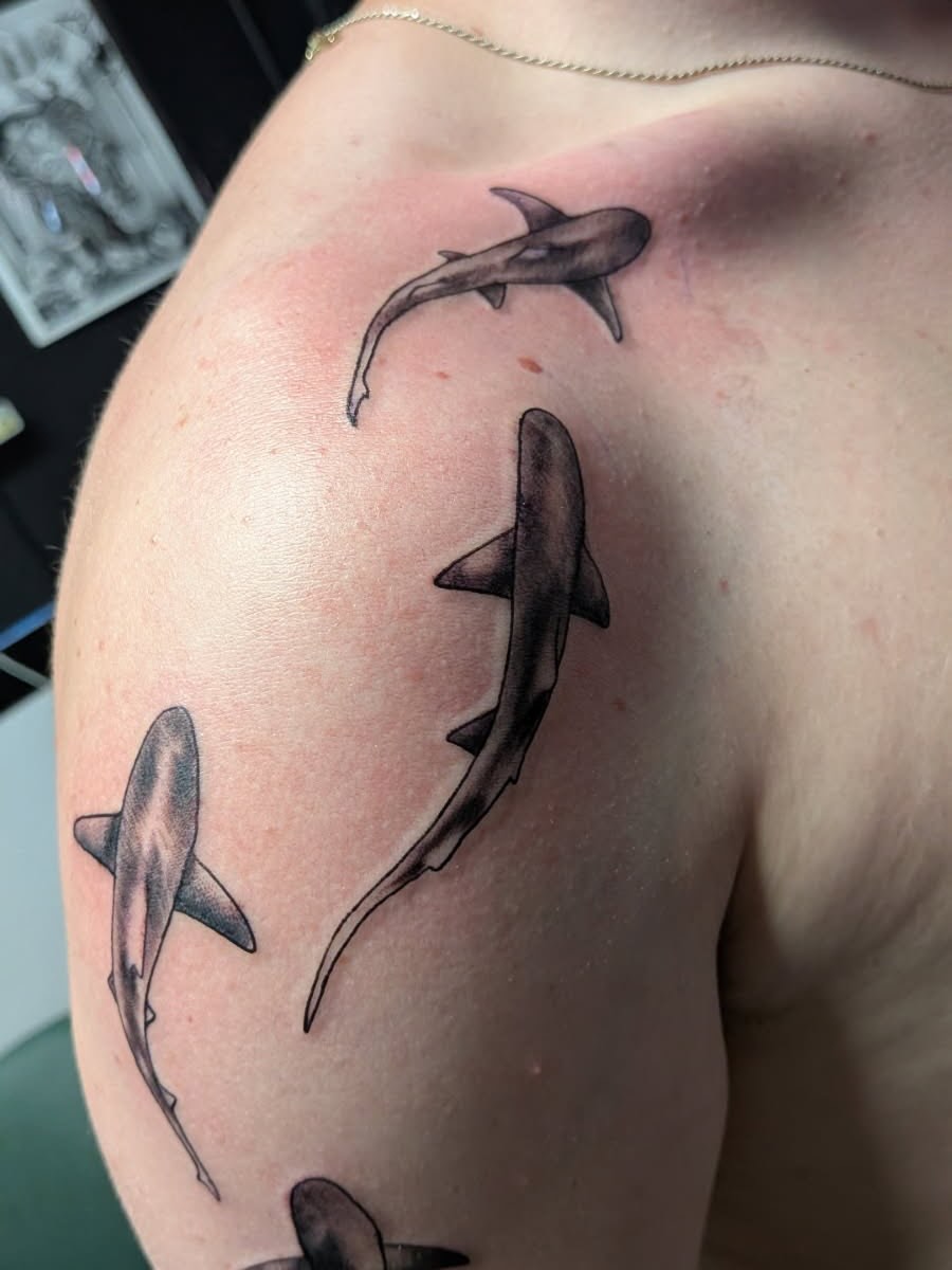 Tattoo by @haileysharpstabs โ black_and_grey, realism