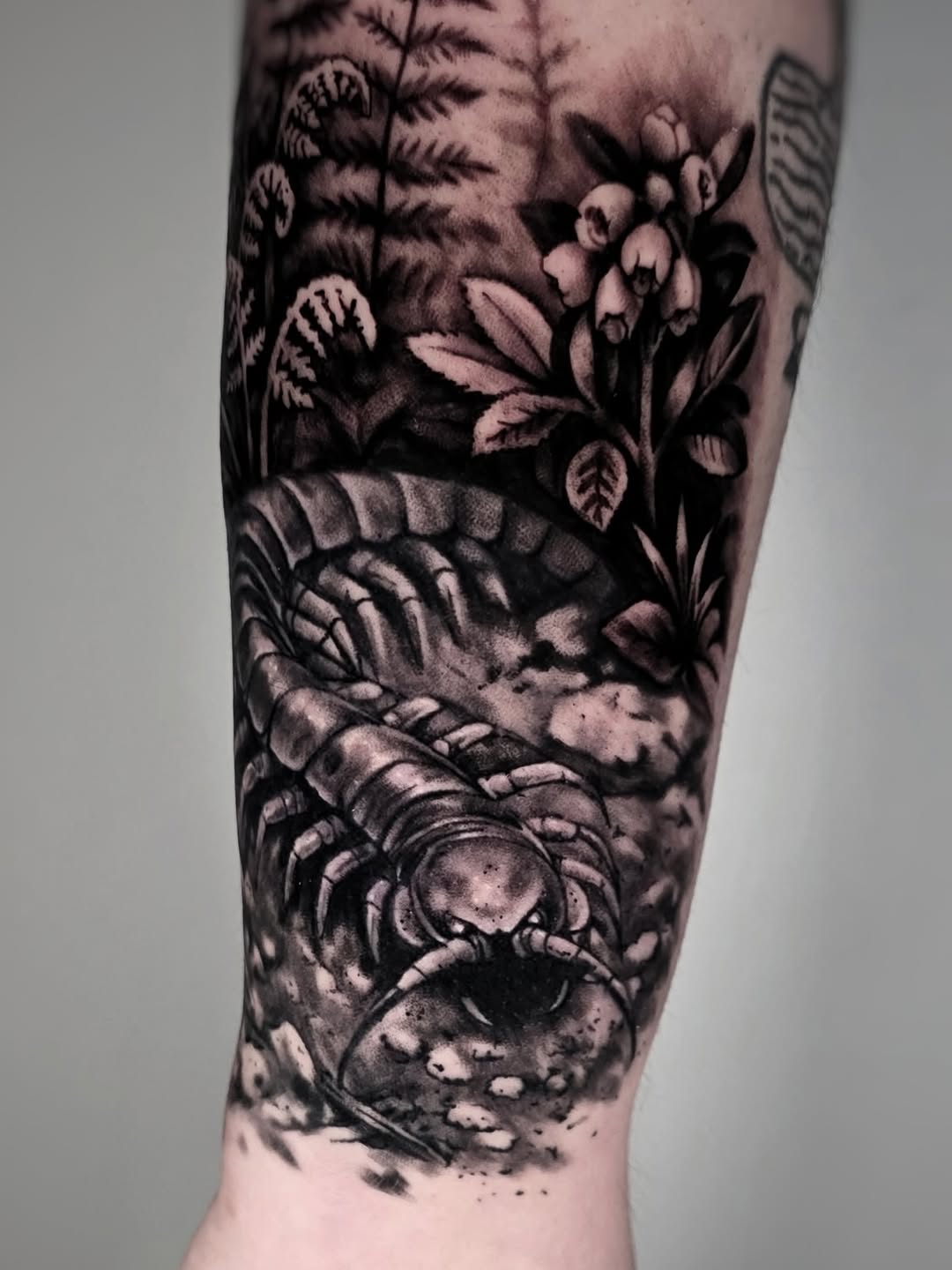 Tattoo by @zombrietattoos — realism, black_and_grey