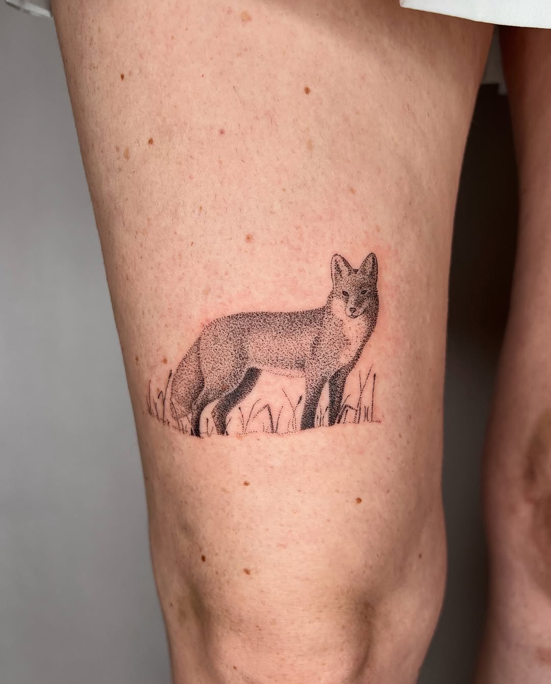 Tattoo by @thankyouforpoking — dotwork, realism