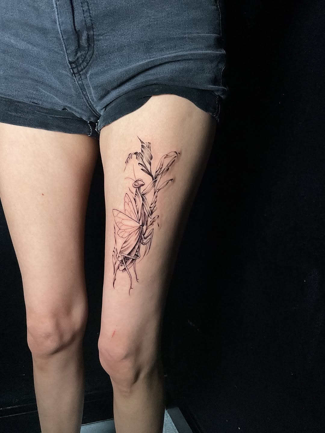 Tattoo by @indigoicarus999 — fine_line, realism