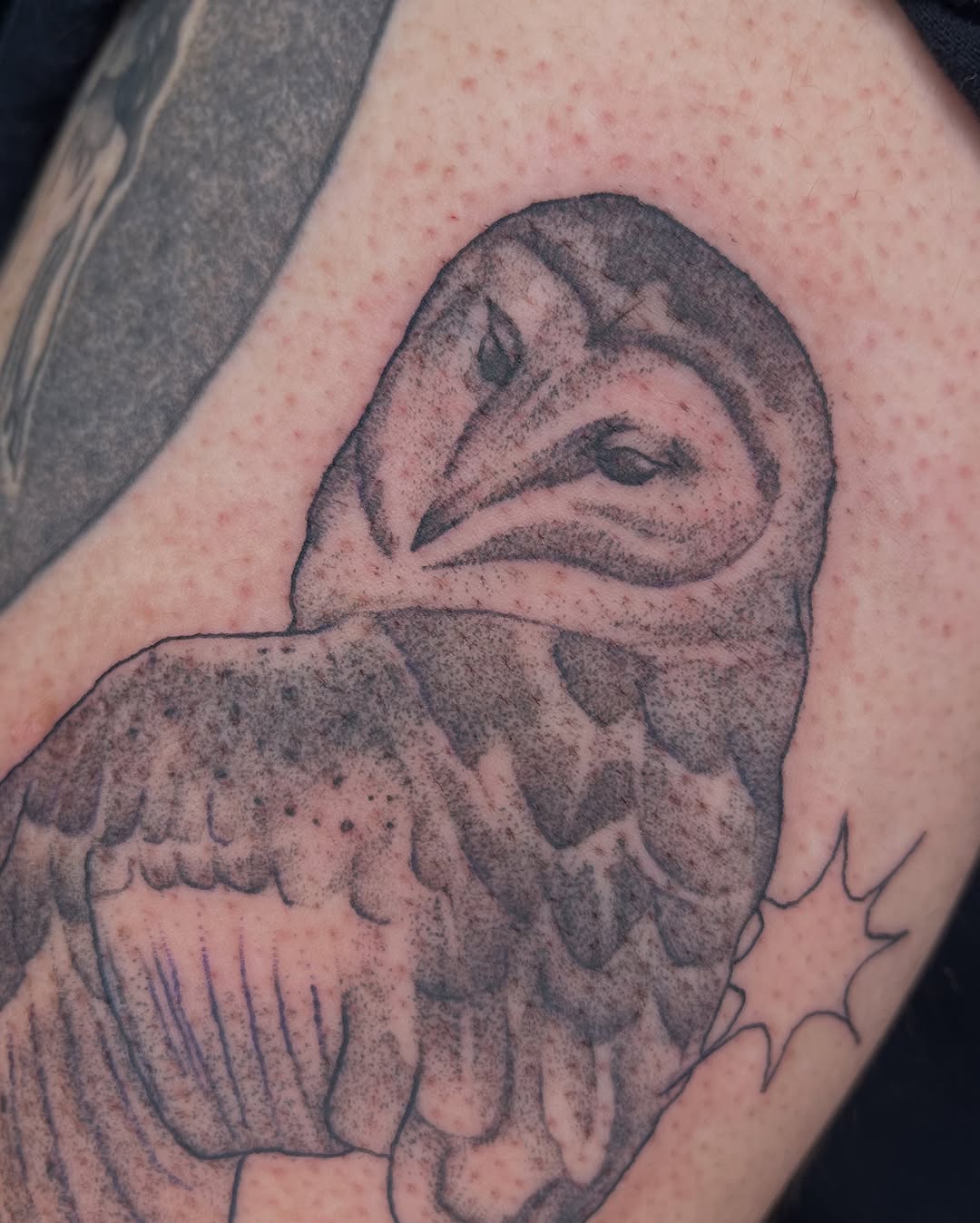 Tattoo by @bobibeanz — black_and_grey, realism