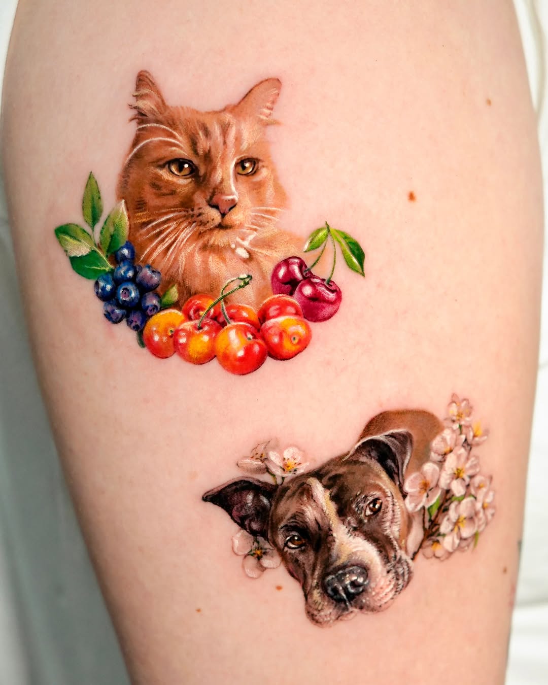 Tattoo by @harry_color — realism