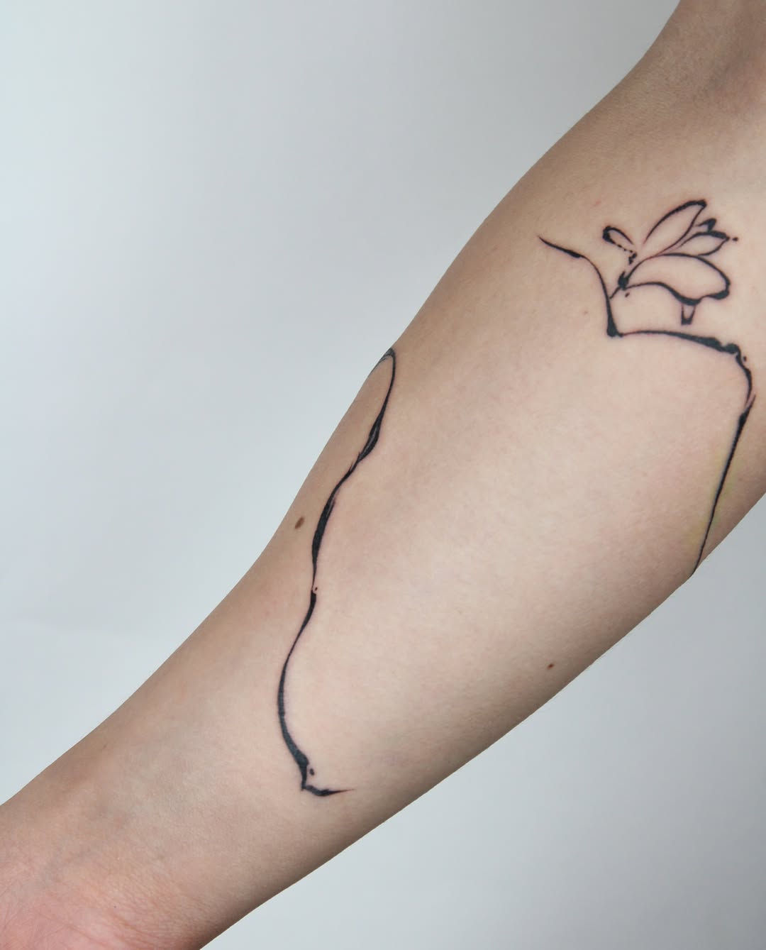Tattoo by @tatpiaooo — fine_line, illustrative
