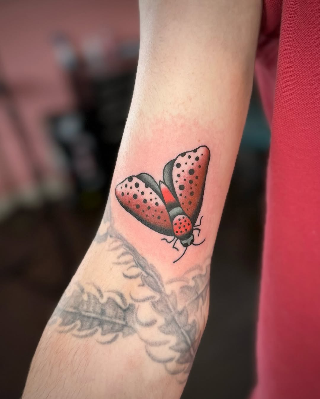 Tattoo by @notkalliberrytattoos — american_traditional
