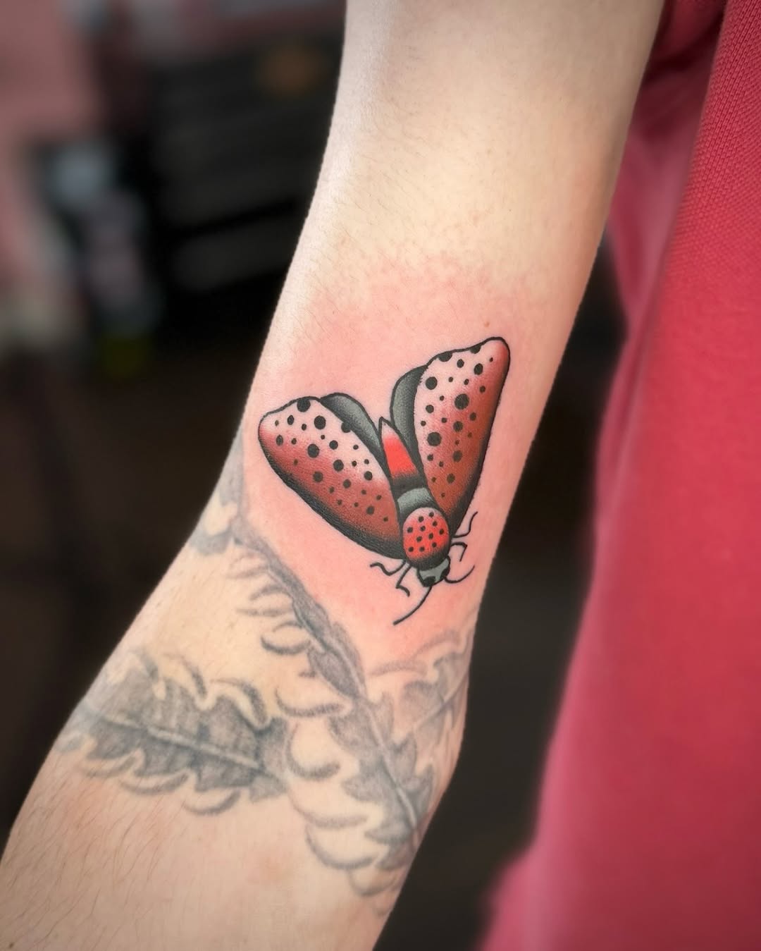 Tattoo by @notkalliberrytattoos — american_traditional