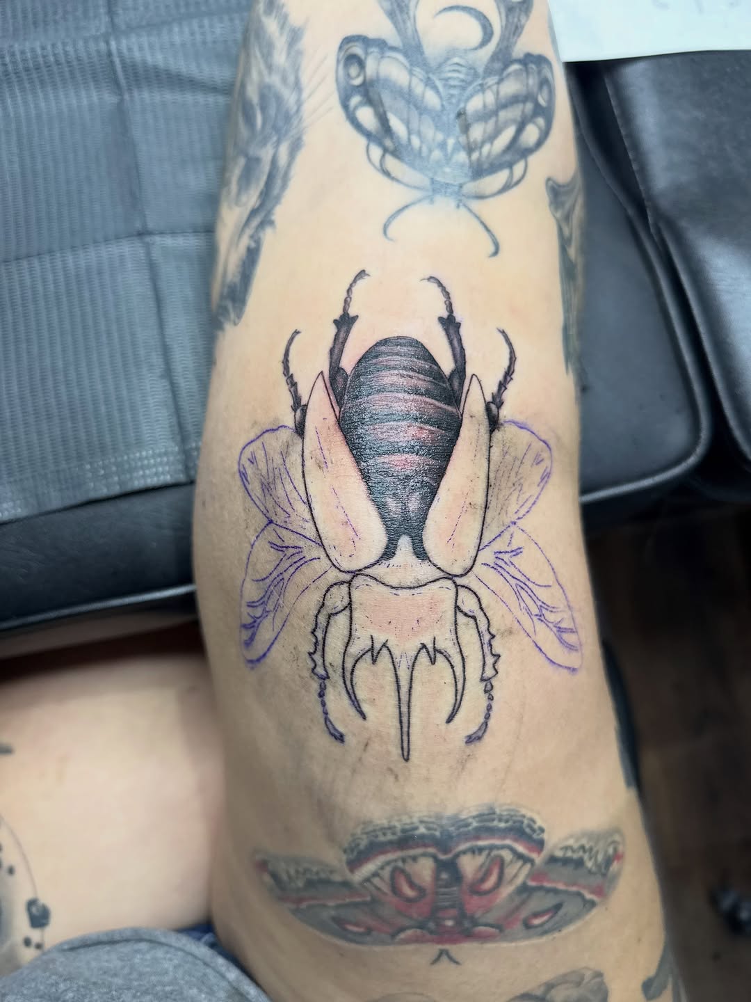 Tattoo by @tink_tattoos — black_and_grey, realism