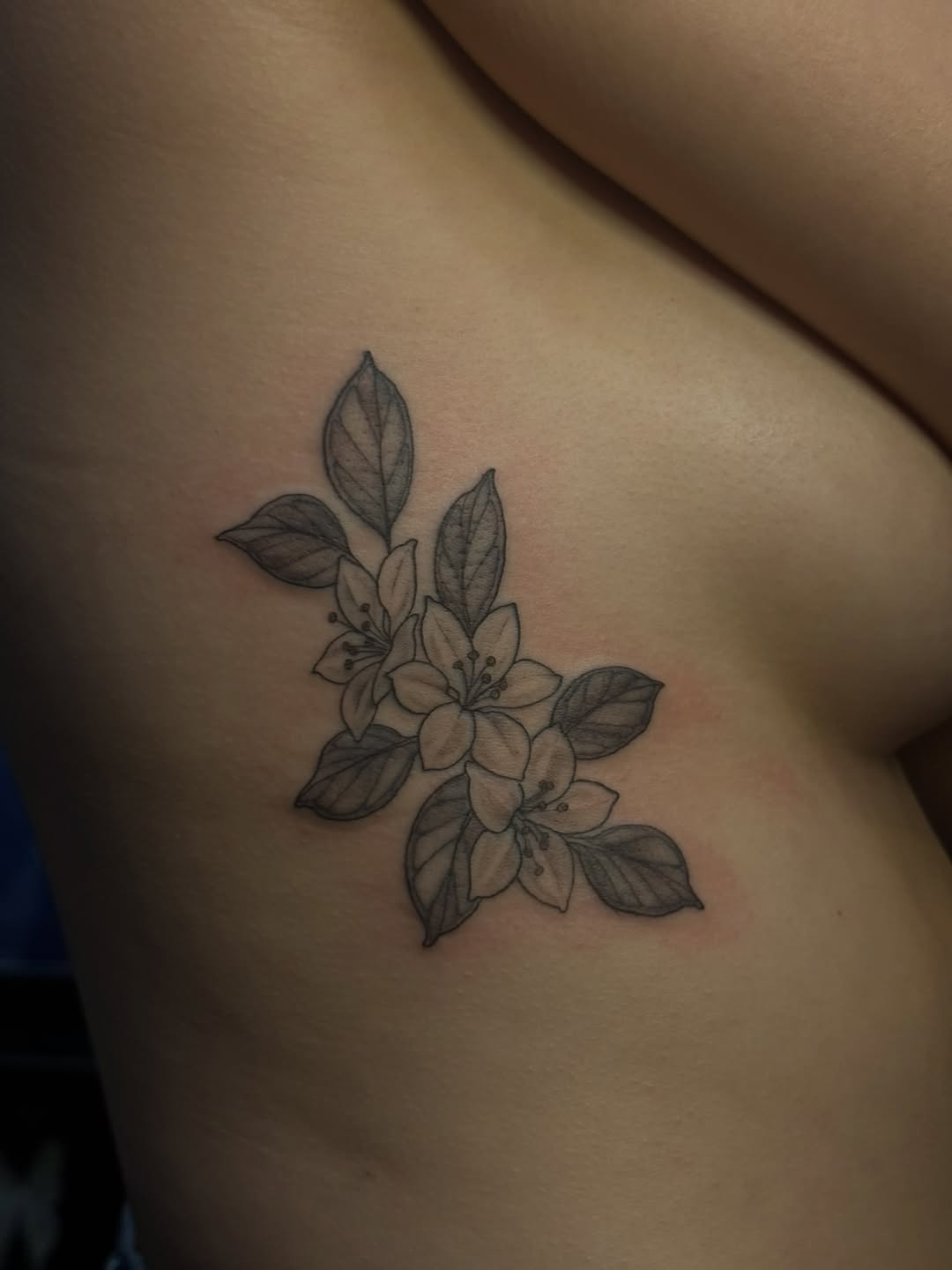 Tattoo by @tattoosbyjessiej — fine_line, black_and_grey