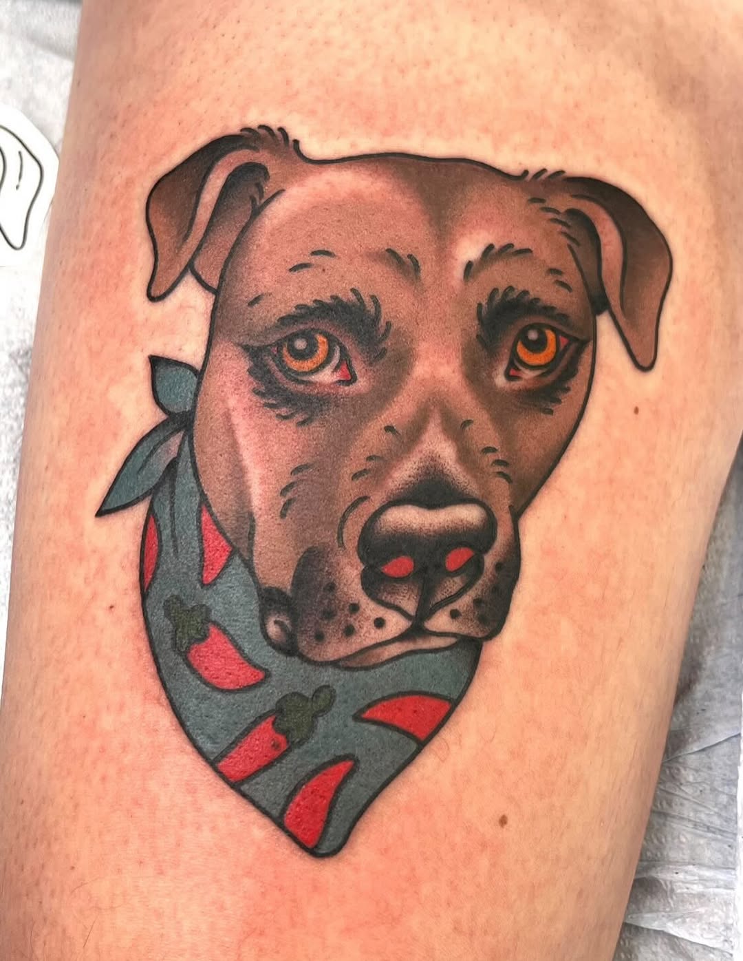 Tattoo by @kgibsontattoos — realism, neo_traditional