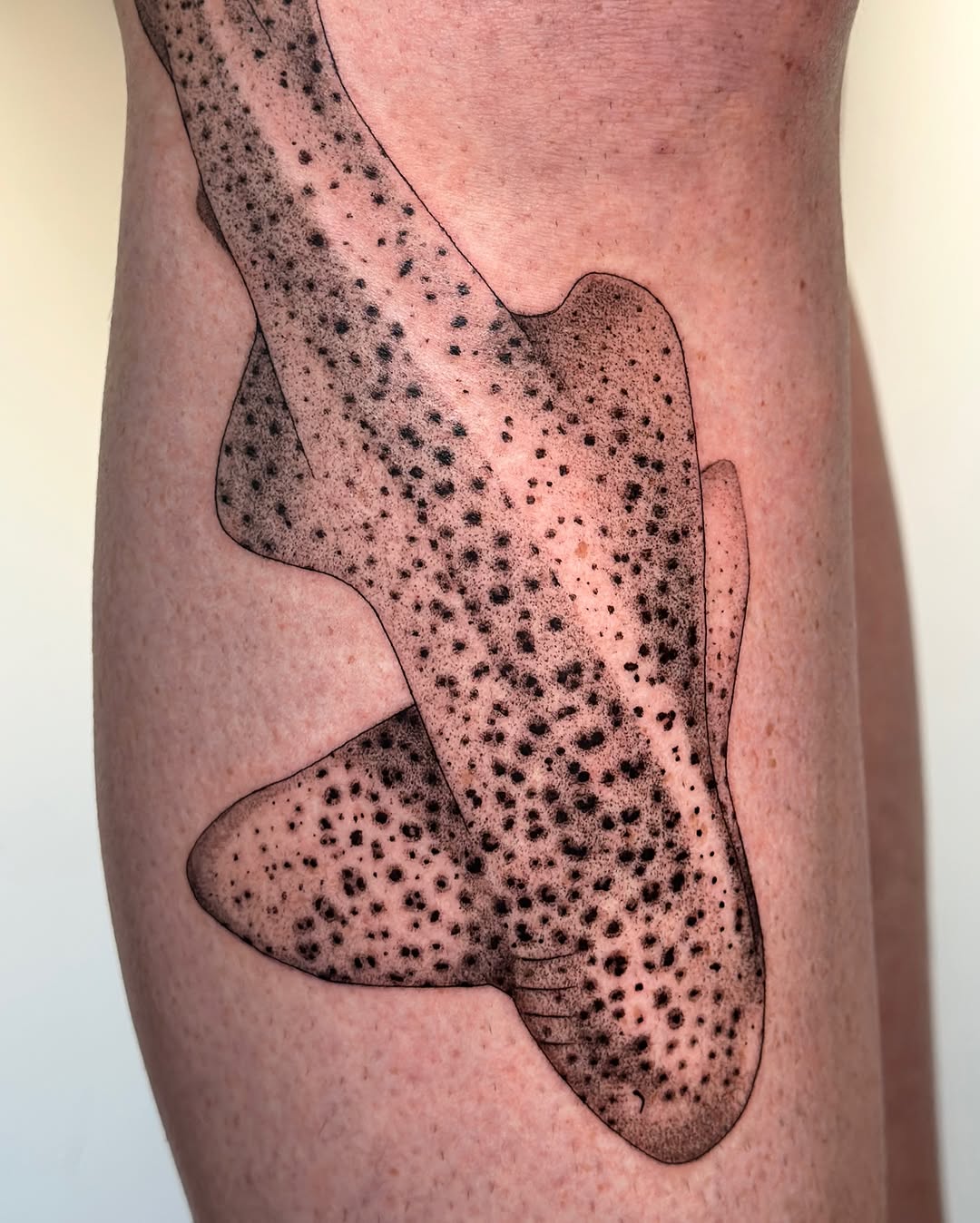 Tattoo by @tattoo.olive — dotwork, black_and_grey