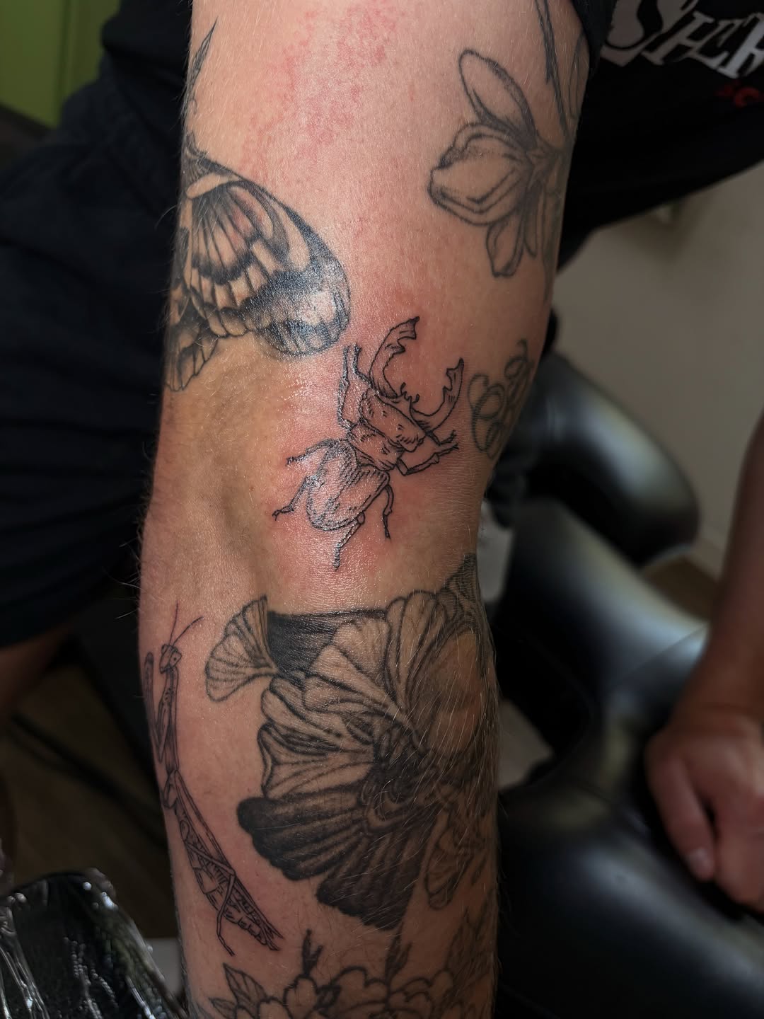 Tattoo by @breannatattoos — fine_line